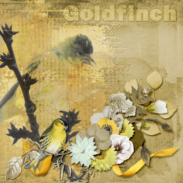 Goldfinch_small