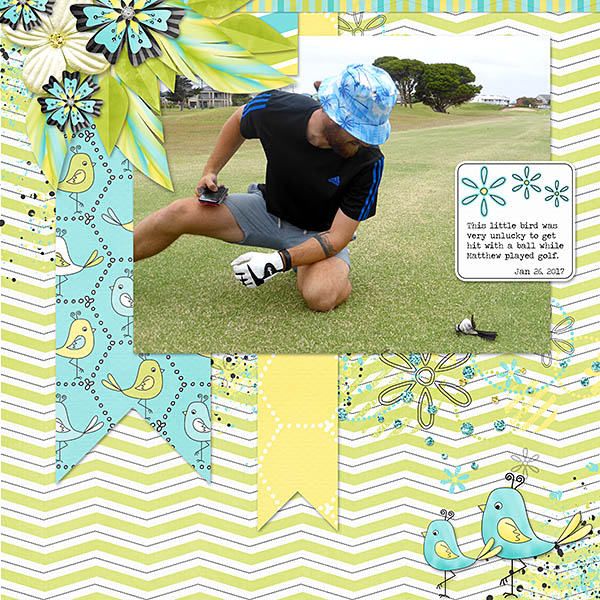 Golf Birdie