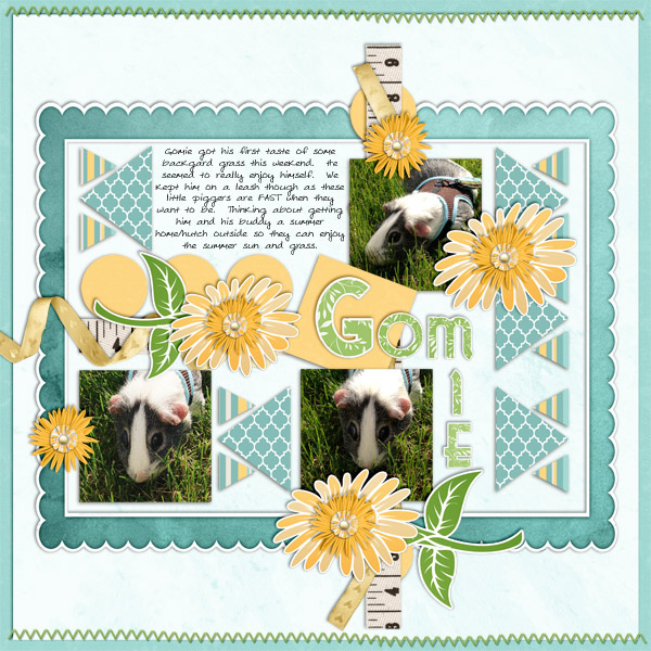 Gomie