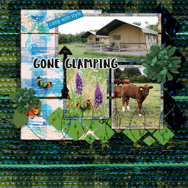 Gone glamping