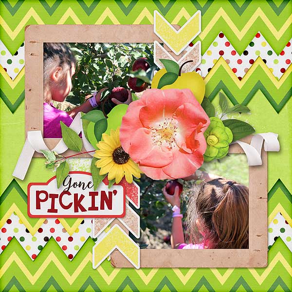 Gone Pickin