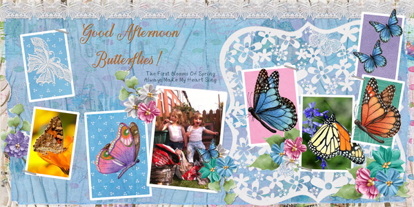 Good Afternoon Butterflies!