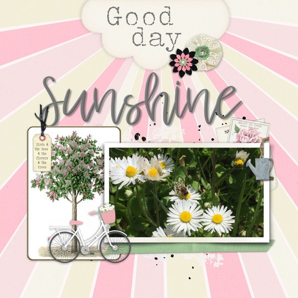 Good Day Sunshine