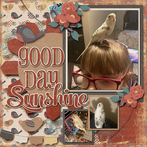 Good day Sunshine