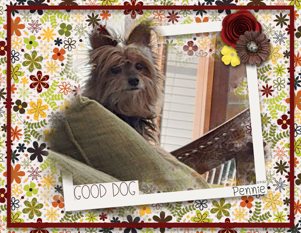 Good Dog