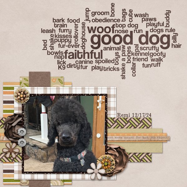 Good Dog