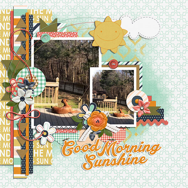 good morning sunshine
