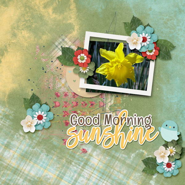 Good Morning Sunshine