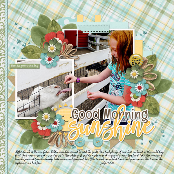 Good Morning Sunshine