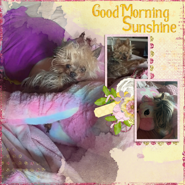 Good Morning Sunshine