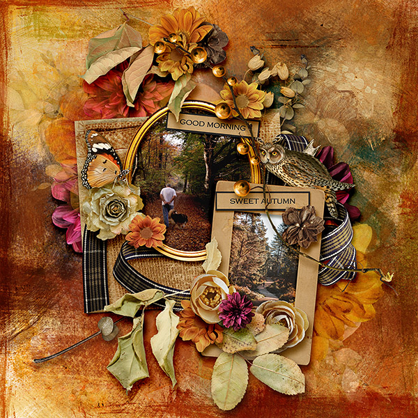 Good Morning Sweet Autumn