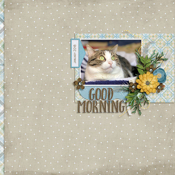 good morning