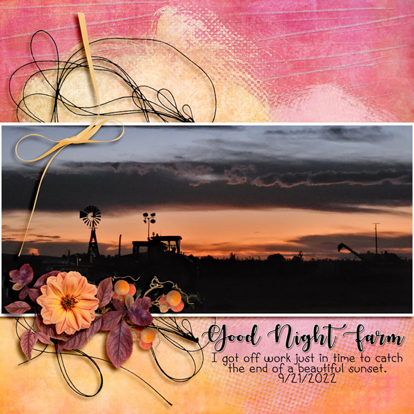 Good Night Farm