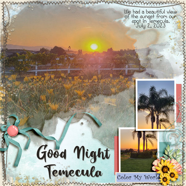 Good Night Temecula