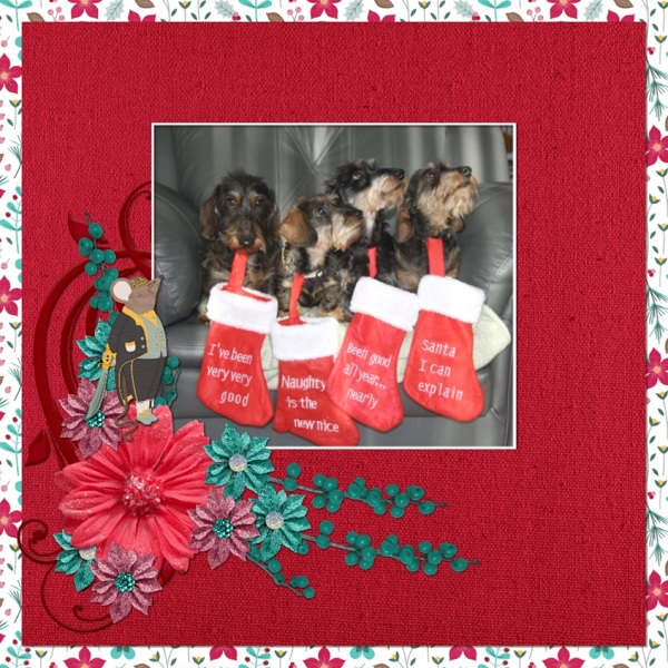 Good Puppies