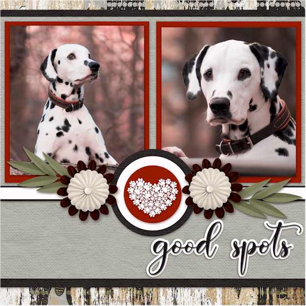 Good Spots