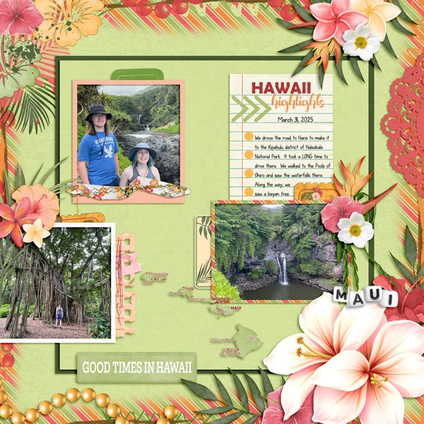 Good-Times-in-Hawaii.jpg
