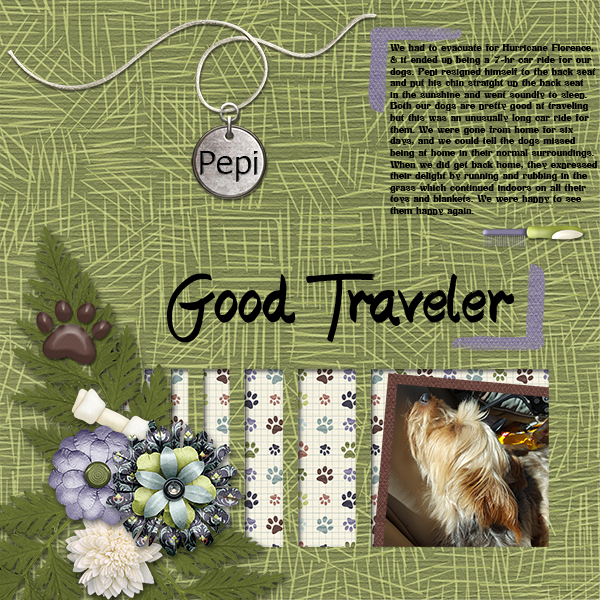 Good Traveler