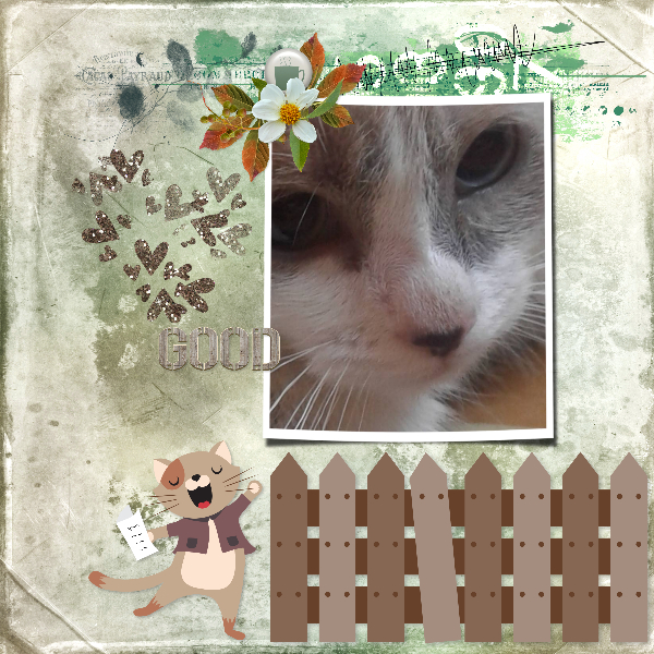good_kitty