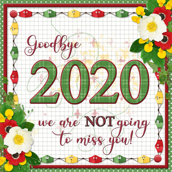 Goodbye 2020 ...