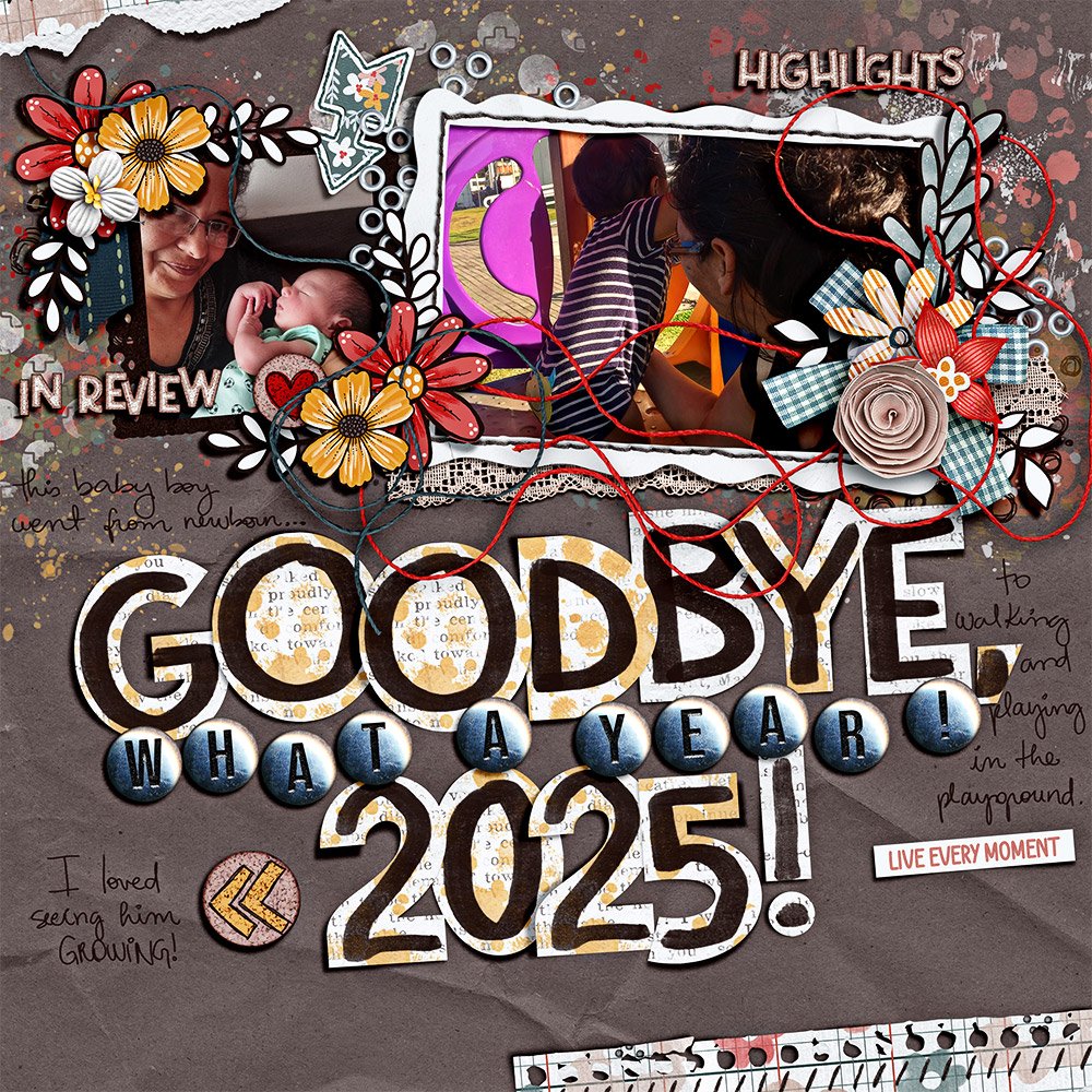 Goodbye 2025