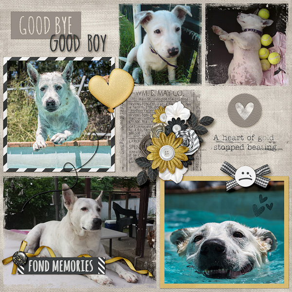 Goodbye Good Boy