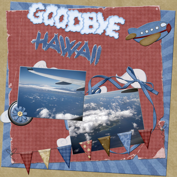 Goodbye Hawaii