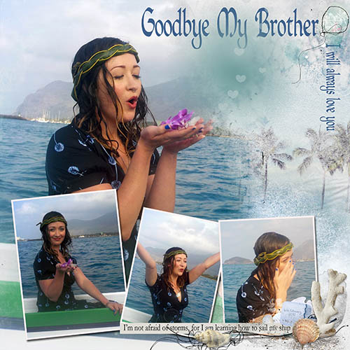Goodbye My Brother