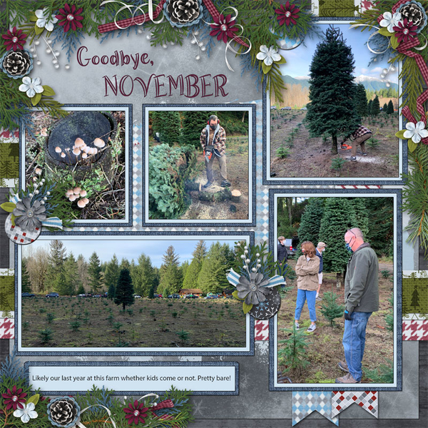 Goodbye, November