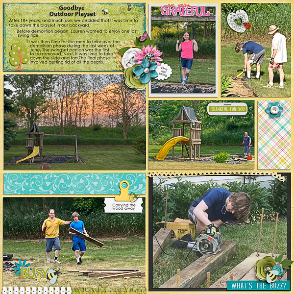 Goodbye Outdoor Playset
