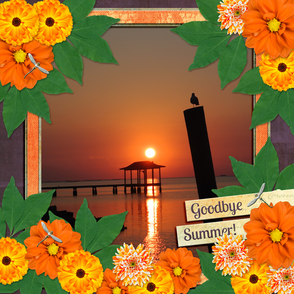 Goodbye Summer!