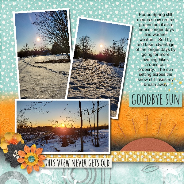 Goodbye Sun
