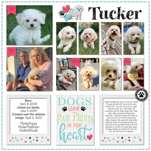 GoodBye Tucker