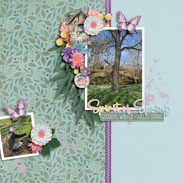 Goodbye winter - Hello spring!
