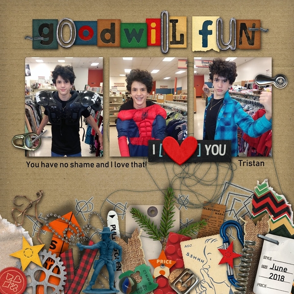 Goodwill_Fun