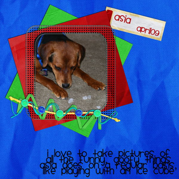 Goofy Asia