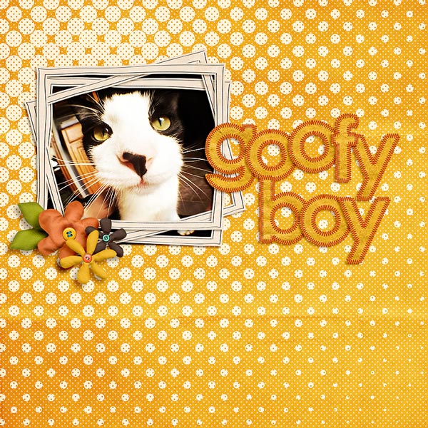 goofy boy