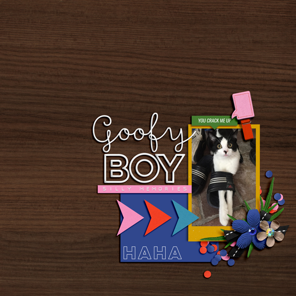goofy boy