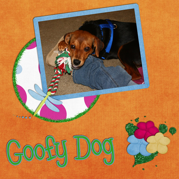 Goofy Dog