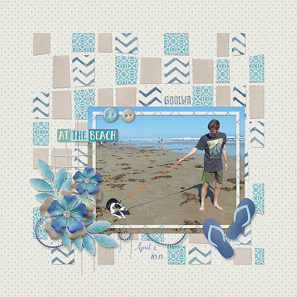 Goolwa Beach