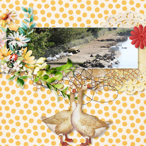 Goose Beach
