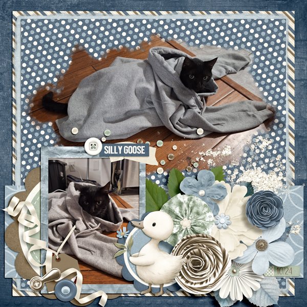 Goose Cat