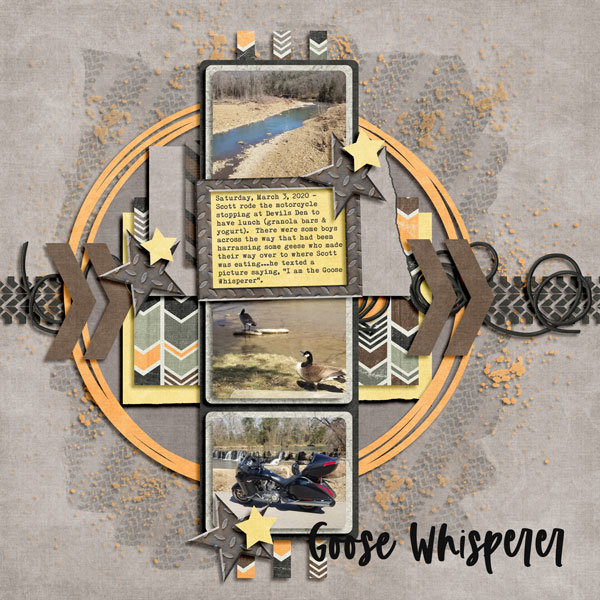 Goose Whisperer 3.7.2020