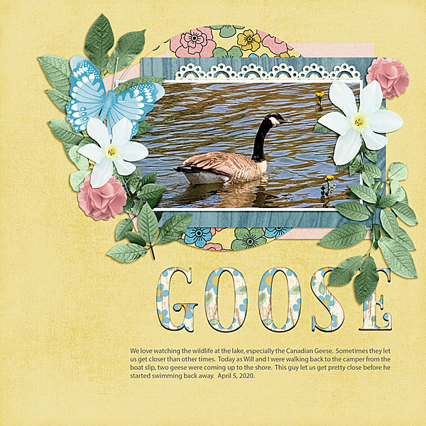 Goose