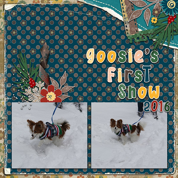 Goosie's First Snow 2016