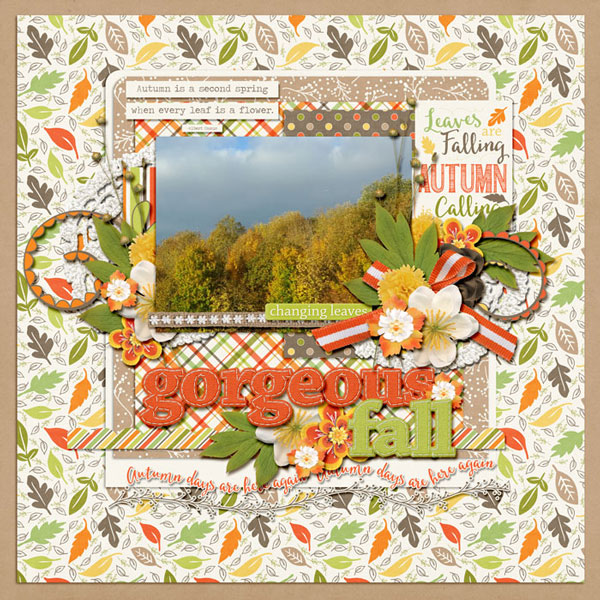 Gorgeous fall