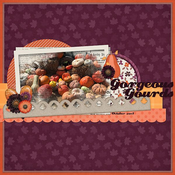 Gorgeous Gourds
