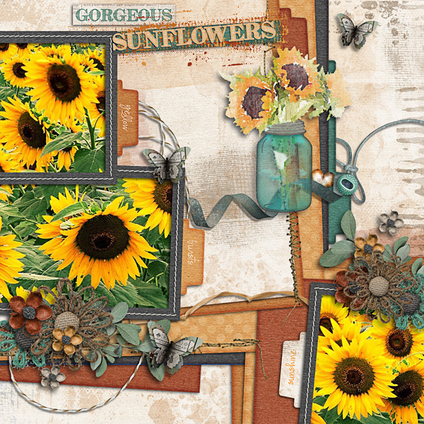 Gorgeous Sunflowers