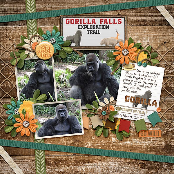 gorilla falls