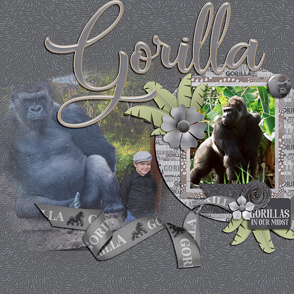 Gorilla